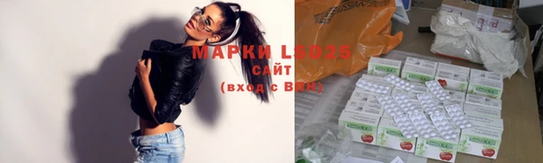 spice Пересвет