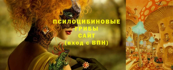 2c-b Переславль-Залесский