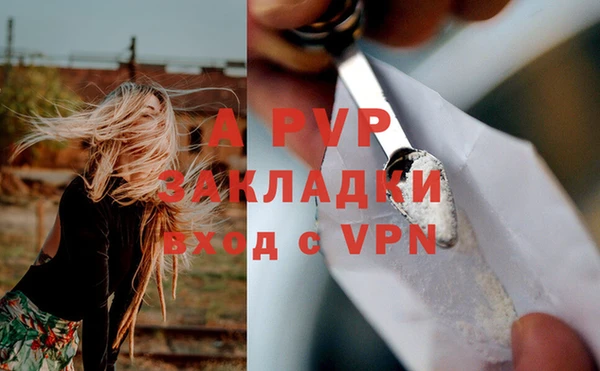 спиды Абаза